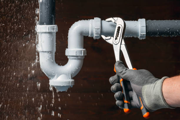 Professional Leak Detection technician working in Woosung, IL